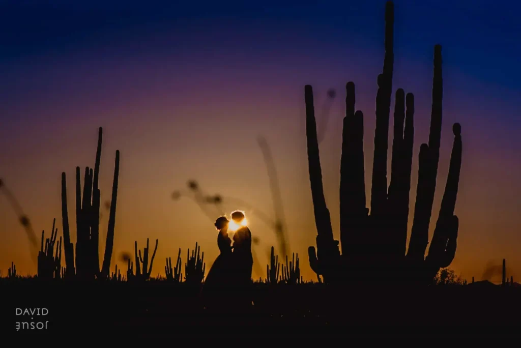 Couple silhouetted among cardon cacti at sunset in Baja California